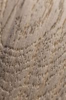 Товар: SPC ламинат Westerhof Organic 6014-8 - фото 5 SPC ламинат Westerhof Organic 6014-8 — фото 5, SPC ламинат