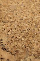 Пробковое покрытие CorkStyle Vico Nat — фото 4, Пробковые покрытия