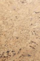 Пробковое покрытие CorkStyle P999 — фото 3, Пробковые покрытия