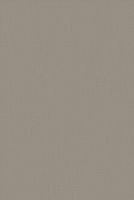 Товар: Виниловый ламинат Bolon Champagne - фото 1 Виниловый ламинат Bolon Champagne — фото 1, Виниловый ламинат