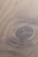 Товар: Инженерная доска Coswick Американский Орех Зимний Закат - фото 3 Инженерная доска Coswick Американский Орех Зимний Закат — фото 3, Инженерная доска