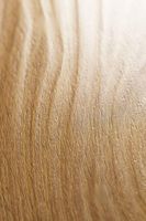 Ламинат Bau Master Дуб Стандарт 70714 — фото 6, Ламинат