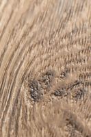 SPC ламинат My Step Эрн MSA48 — фото 3, SPC ламинат