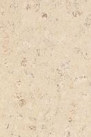 Товар: Пробковое покрытие CorkStyle P999 Creme - фото 4 Пробковое покрытие CorkStyle P999 Creme — фото 4, Пробковые покрытия