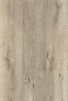 Ламинат Bau Master Дуб Горный 925618 — фото 2, Ламинат