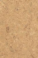Пробковое покрытие CorkStyle P999 — фото 7, Пробковые покрытия