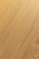 Ламинат FirstFloor Дуб Апертус 1F328 — фото 4, Ламинат