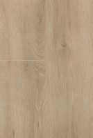 Ламинат Haro Дуб Венето Кремовый — фото 2, Ламинат