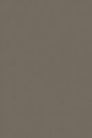 Виниловый ламинат Bolon Sisal Plain Mole — фото 2, Виниловый ламинат