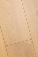 Ламинат FirstFloor Дуб Ривьера 1F407 — фото 7, Ламинат