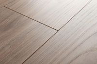 Ламинат Haro Вяз Варио — фото 1, Ламинат