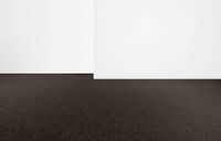 Виниловый ламинат Bolon Tilia — фото 2, Виниловый ламинат