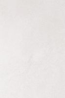Товар: Ламинат Falquon Max Porcelato Chiaro 1220х610х8 мм арт-MT Q1002 - фото 1 Ламинат Falquon Max Porcelato Chiaro 1220х610х8 мм арт-MT Q1002 — фото 1, Ламинат