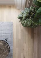 Ламинат AlixFloor Natural Line Дуб натуральный классический 1261х133х12 мм арт-ALX826 — фото 5, Ламинат