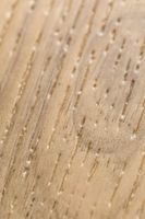 SPC ламинат Westerhof Fire 6025-7 — фото 5, SPC ламинат