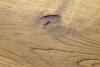 Инженерная доска Oak Factory Дуб Modena — фото 4, Инженерная доска