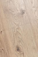 Ламинат Kronotex Mammut Дуб Еверест серебро 1845х188х12мм арт-D3081 — фото 1, Ламинат