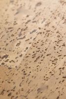 Пробковое покрытие CorkStyle Fantasie — фото 2, Пробковые покрытия