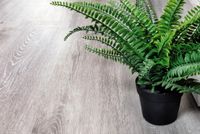 SPC ламинат Alpine Floor Ясень Серый ECO 134-5 — фото 5, SPC ламинат