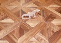 Модульный паркет Marco Ferutti Linea Орех Американский — фото 5, Модульный паркет