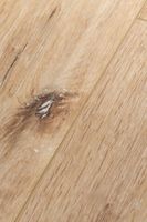 Товар: SPC ламинат Aberhof Castlerock 2202 - фото 3 SPC ламинат Aberhof Castlerock 2202 — фото 3, SPC ламинат