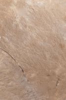 Товар: SPC ламинат Stepton Камень Рокуэлл 0333 - фото 3 SPC ламинат Stepton Камень Рокуэлл 0333 — фото 3, SPC ламинат