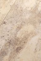 SPC ламинат Alpine Floor Ричмонд ECO 4-1 — фото 4, SPC ламинат