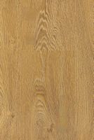 Ламинат Floorwood Phantom Дуб Брайс 1220х240х8 мм арт-6487 — фото 1, Ламинат