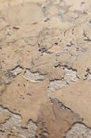 Пробковое покрытие CorkStyle Monte Cream — фото 4, Пробковые покрытия