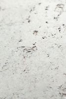 Пробковое покрытие CorkStyle Vico Snow — фото 3, Пробковые покрытия