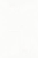 Инженерная доска Brinel Дуб Белый — фото 7, Инженерная доска