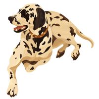 Художественный паркет Da Vinci паркетный декор 26-009 Долматинец — фото 1, Художественный паркет