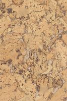 Пробковое покрытие CorkStyle Monte Nat — фото 7, Пробковые покрытия