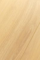 Ламинат FirstFloor Дуб Кэндор 1F314 — фото 8, Ламинат