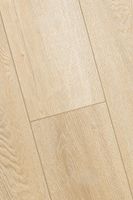 SPC ламинат Icon Floor Дуб Беринг AQ-17 — фото 2, SPC ламинат