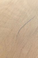 Ламинат EVER SENSE Дуб Вирдиа натуральный EL1038 — фото 3, Ламинат