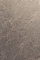 SPC ламинат Alpine Floor ECO 4-28 Гермес — фото 1, SPC ламинат