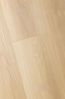 Ламинат FirstFloor Дуб Веритэ 1F312 — фото 1, Ламинат