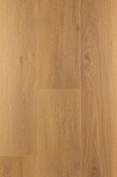 Ламинат FirstFloor Дуб Апертус 1F328 — фото 2, Ламинат