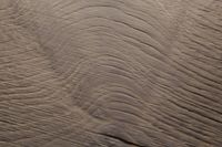 Товар: Инженерная доска Oak Factory Дуб №10 Emile Berton - фото 9 Инженерная доска Oak Factory Дуб №10 Emile Berton — фото 9, Инженерная доска