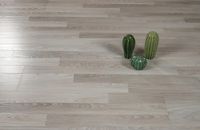 Товар: Ламинат Woodstyle 61150 Дуб Йорк - фото 2 Ламинат Woodstyle 61150 Дуб Йорк — фото 2, Ламинат