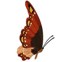 Художественный паркет Da Vinci паркетный декор 26-031 — фото 1, Художественный паркет