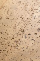 Пробковое покрытие CorkStyle Fantasie — фото 9, Пробковые покрытия