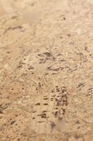 Пробковое покрытие CorkStyle P999 — фото 4, Пробковые покрытия