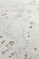 Пробковое покрытие CorkStyle Vico Snow — фото 2, Пробковые покрытия