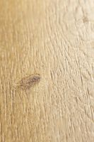 SPC ламинат Betta Корсика A819 — фото 6, SPC ламинат