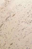 Товар: Пробковое покрытие CorkStyle Fantasie Creme - фото 4 Пробковое покрытие CorkStyle Fantasie Creme — фото 4, Пробковые покрытия