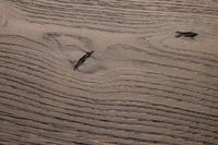 Инженерная доска Oak Factory Дуб Corleone — фото 5, Инженерная доска