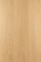 Ламинат FirstFloor Дуб Гравитас 1F321 — фото 2, Ламинат