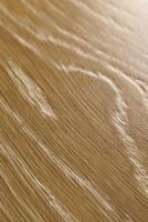 Товар: Ламинат Bau Master Дуб Шабли 609105 - фото 2 Ламинат Bau Master Дуб Шабли 609105 — фото 2, Ламинат